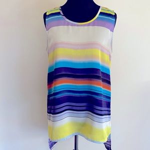 The Limited Striped Silk Sleeveless Tunic